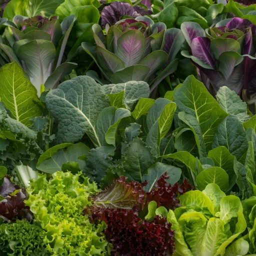 Growing vegetables in August