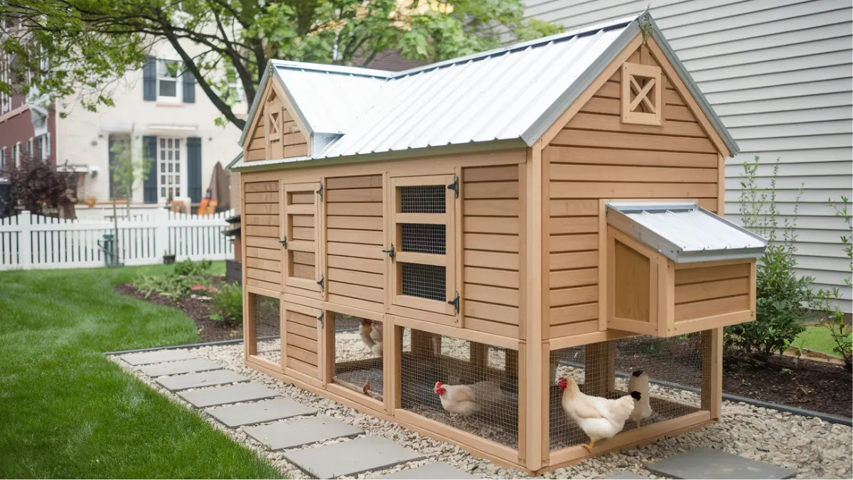 Chicken Coop Plans DIY